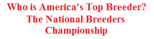 The National Breeders Championship